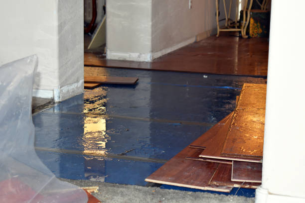 Professional Burst Pipe Water Damage technician working in Holcomb, IL